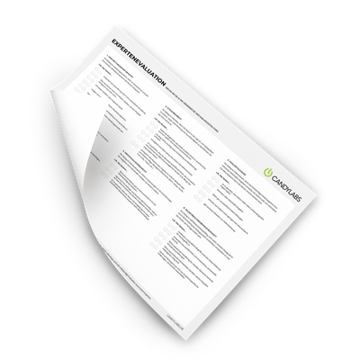 Candylabs-Methodenkatalog-Expertenevaluation-Template.png